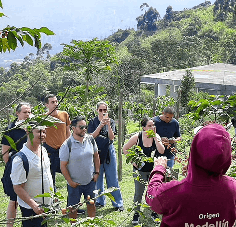 Celebración After‑Party Quality Sense Conf